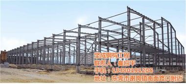 钢结构加工 惠阳区钢结构 坚成钢构高清图片 高清大图