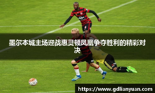 墨尔本城主场迎战惠灵顿凤凰争夺胜利的精彩对决
